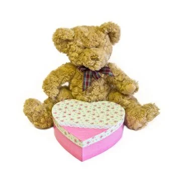 Teddy bear with heart box Stock Photos