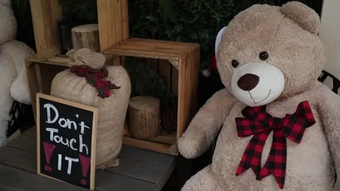 Teddy bear in holiday shop window Stock Footage 323700910
