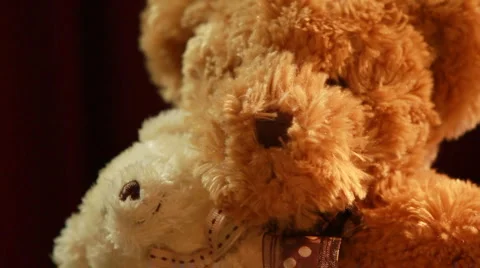 Teddy bear hug Vidéo 1017852