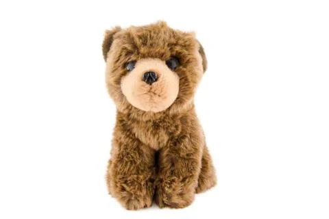 Teddy bear isolated on white background photo. Stock Photos