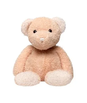 Teddy bear isolated on white background. Foto stock