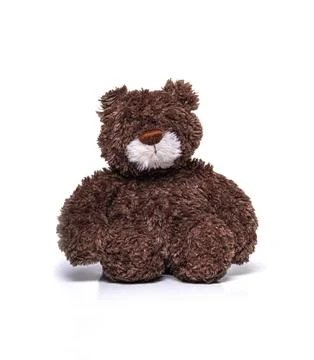 Teddy bear isolated on a white. Stock Photos