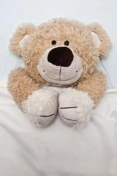Teddy Bear Laying in Bed Stock Photos