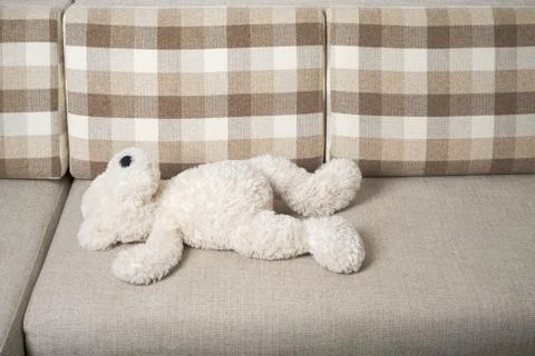 Teddy bear is laying on the sofa Stock Photos