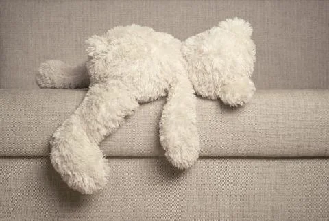 Teddy bear is laying on the sofa Stock Photos