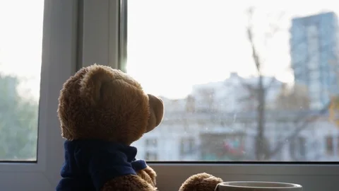 Teddy bear looks out the window 4 Stock Footage 97537746
