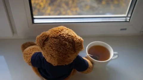Teddy bear looks out the window 2 Stock Footage 97537749