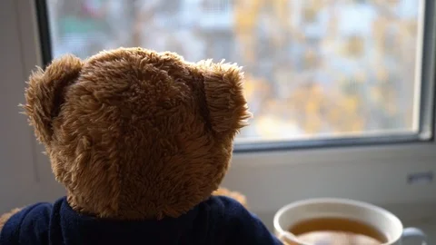 Teddy bear looks out the window 3 Stock-Footage 97537753