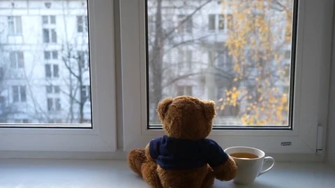 Teddy bear looks out the window 5 Stock Footage 97537755