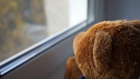 Teddy bear looks out the window 1 Stock Footage 97537759