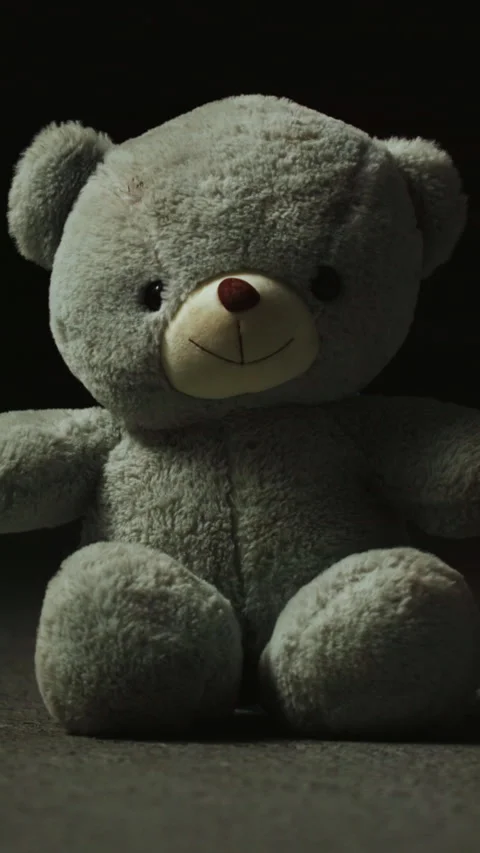 Teddy bear, loss and toy on studio floor for adoption fail, neglect and Stock Footage 333691027