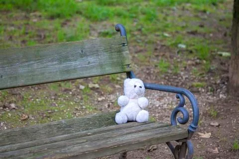 Teddy bear lost Stock Photos