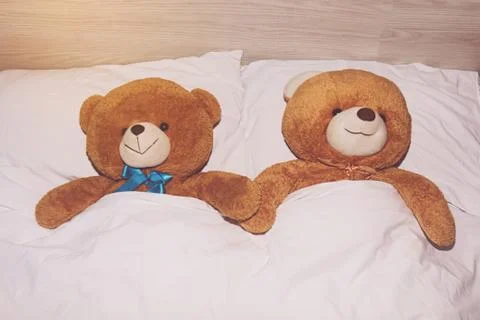 Teddy Bear lying in the bed Stock Photos