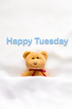 Teddy Bear lying in the white bed with message " Happy Tuesday"  Stock Photos