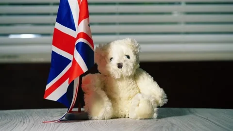 Teddy bear Mascot with British flag Union Jack Stock Footage 317088971