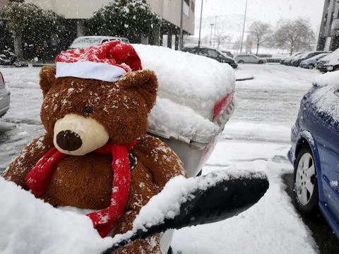 Teddy bear on a motorcycle in winter Stock Photos