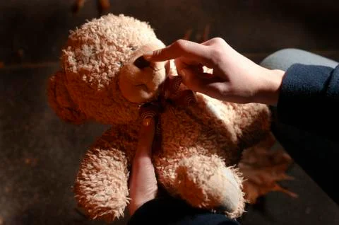 Teddy bear in the night park Stock Photos