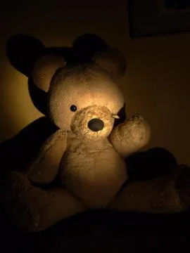 Teddy bear with one eye in dramatic settings Stock Photos