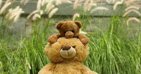 TEDDY BEAR OUTDOORS Stock Footage 136065073