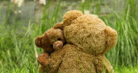 TEDDY BEAR OUTDOORS Stock Footage 136065076