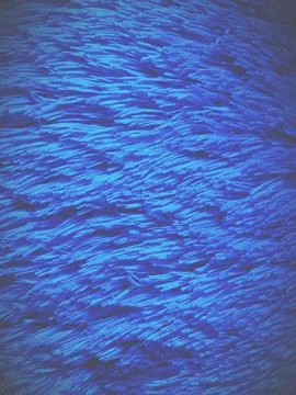 Teddy bear pattern Stock Photos