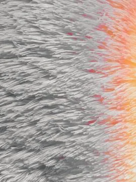 Teddy bear pattern Stock Photos