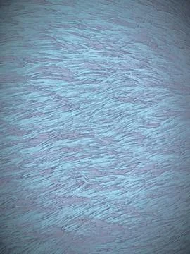 Teddy bear pattern Stock Photos