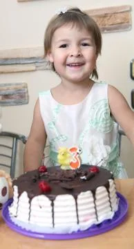 Teddy bear Stock Photos