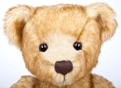 Teddy Bear Stock Photos