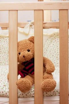 Teddy bear Stock Photos