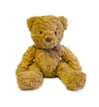 Teddy bear Stock Photos