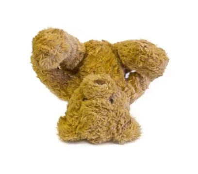 Teddy bear Stock Photos