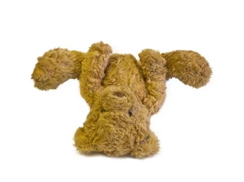 Teddy bear Stock Photos