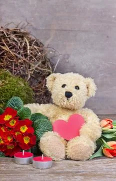 Teddy  bear Stock Photos