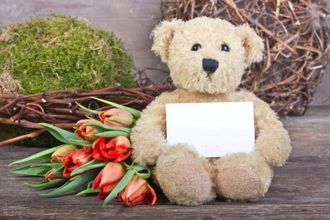 Teddy  bear Stock Photos