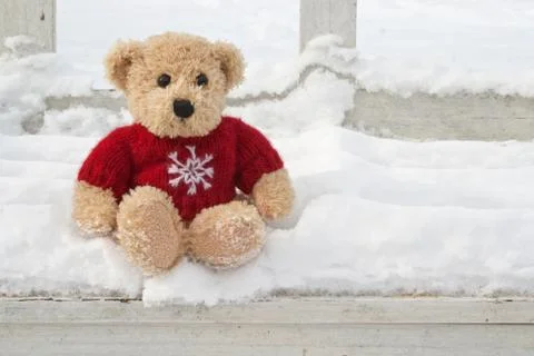 Teddy bear Stock Photos