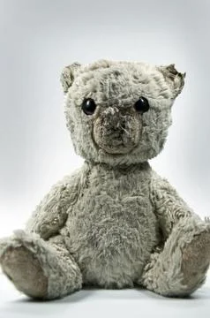 Teddy bear Stock Photos