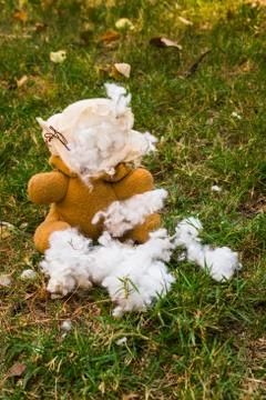 Teddy bear Stock Photos