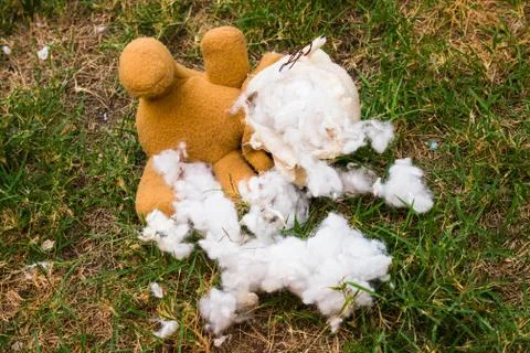 Teddy bear Stock Photos