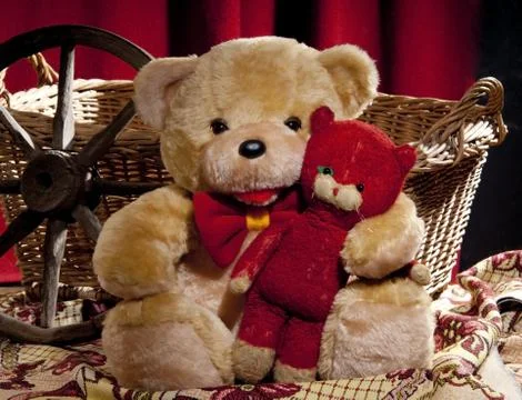 Teddy bear Foto stock