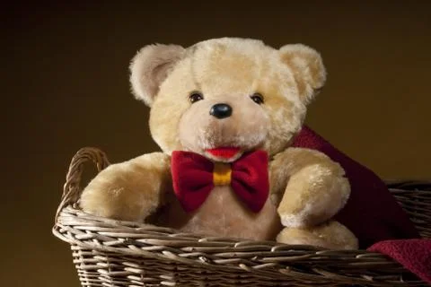 Teddy bear Stock Photos