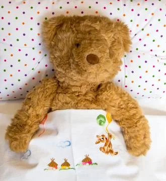 Teddy bear Stock Photos