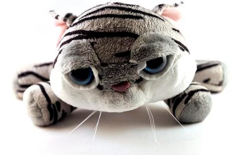 Teddy bear Stock Photos