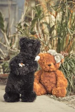 Teddy bear Stock Photos