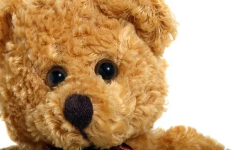 Teddy bear Foto stock