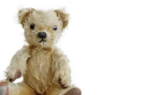 Teddy bear Stock Photos