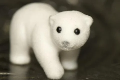 Teddy bear Stock Photos