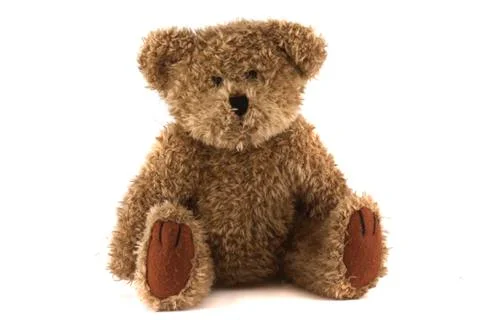 Teddy bear Stock Photos
