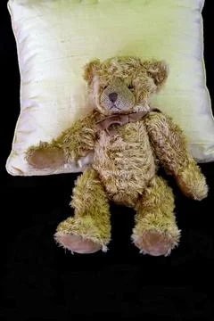 Teddy bear Stock Photos