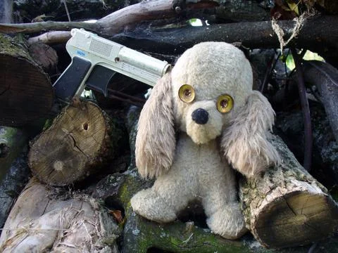 Teddy bear Stock Photos